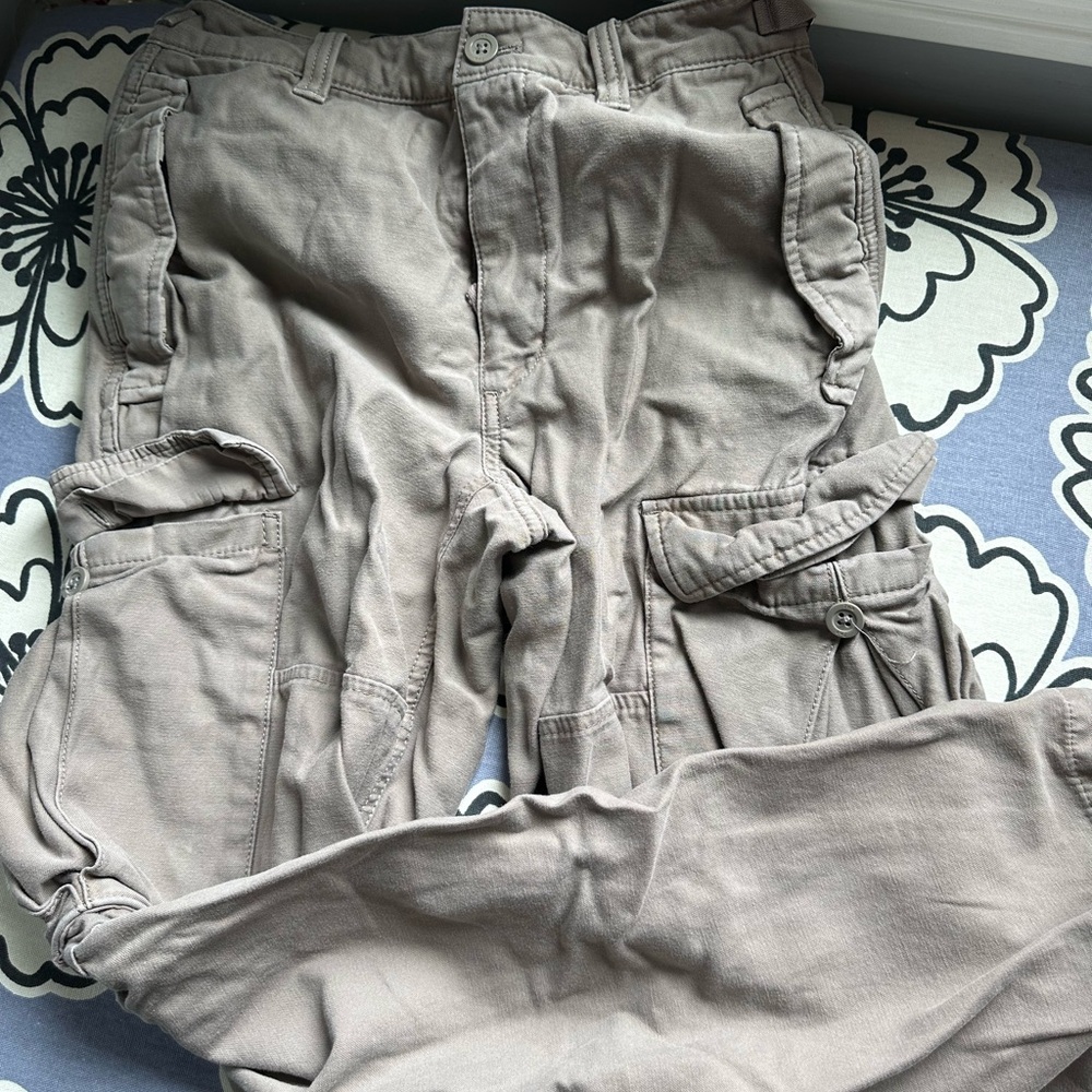 Aritzia Cargo Pants